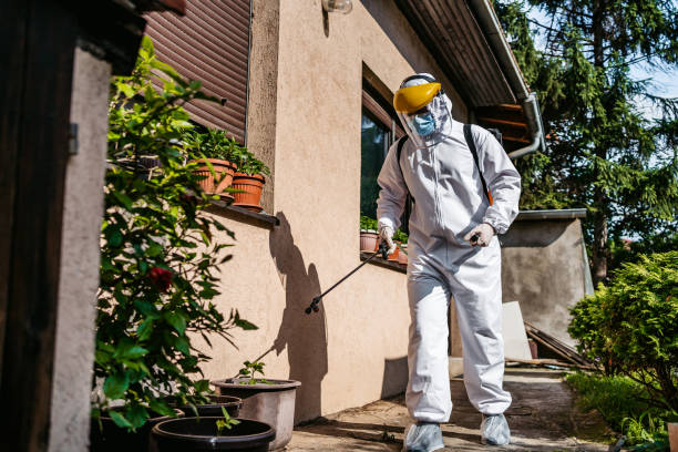 Best Best Pest Control Companies  in Cupertino, CA