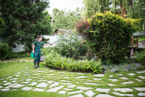Best Emergency Pest Control  in Cupertino, CA