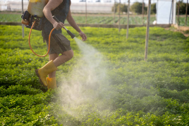 Best Pest Prevention Services  in Cupertino, CA