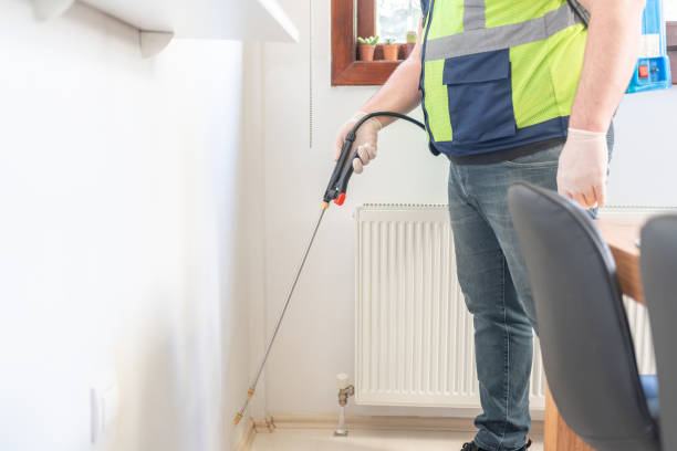 Best Ant Control Services  in Cupertino, CA