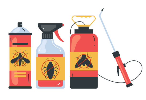 Best Spider Control Near Me  in Cupertino, CA