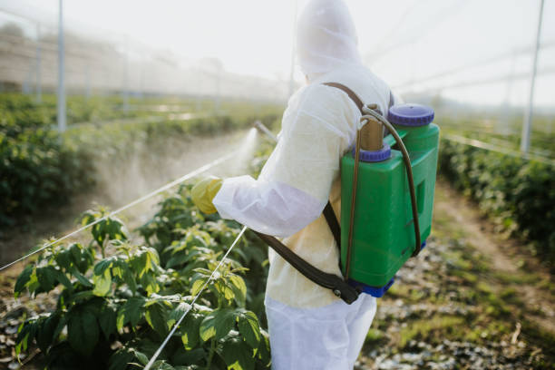 Best Best Pest Control Companies  in Cupertino, CA